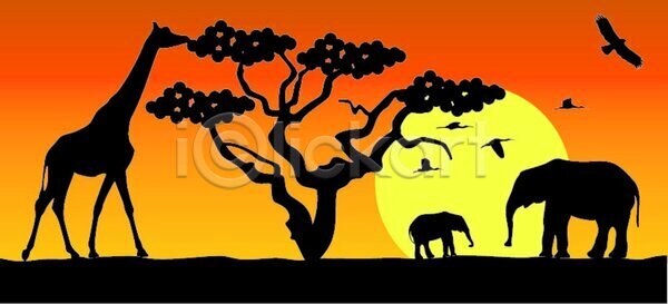 사랑 EPS 실루엣 일러스트 해외이미지 가족 걷기 검은색 그룹 기린 나무 나뭇가지 노란색 동물 동물원 백그라운드 사바나 사파리 숲 식물 아프리카 야생동물 야외 엄마 여름 여행 오렌지 일몰 일출 잎 자연 전국 조류 케냐 코끼리 큼 태양 포유류 풍경 하늘 해외202004 해외일러스트 햇빛