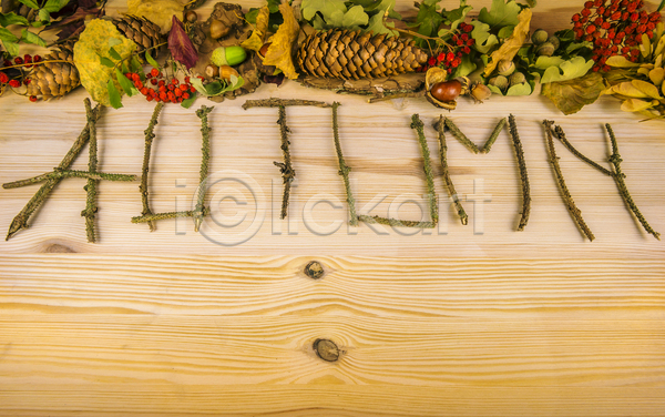 건조 사람없음 JPG 포토 해외이미지 11월 가을(계절) 견과류 계절 기록 나뭇가지 단어 단풍 디자인 땅콩 목재 백그라운드 숲 시골 잎 자연 장식 추수감사절 컨셉 컬러풀 탁자 텍스트 편지 프레임 해외202004