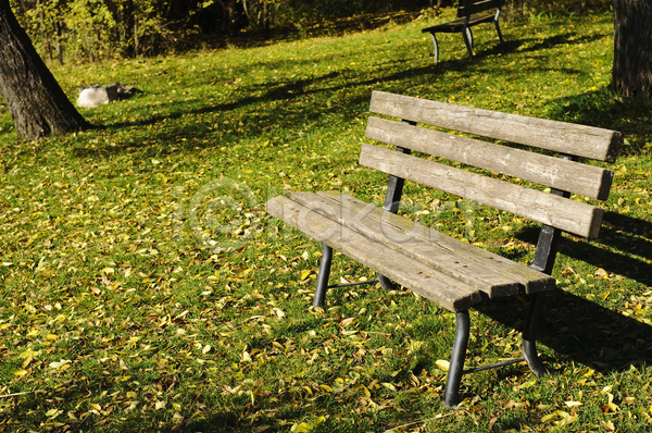 떨어짐 침묵 사람없음 JPG 포토 해외이미지 가을(계절) 갈색 계절 공원 내추럴 노란색 목재 벤치 앉기 야외 의자 잎 자연 초록색 컬러풀 해외202004 혼자