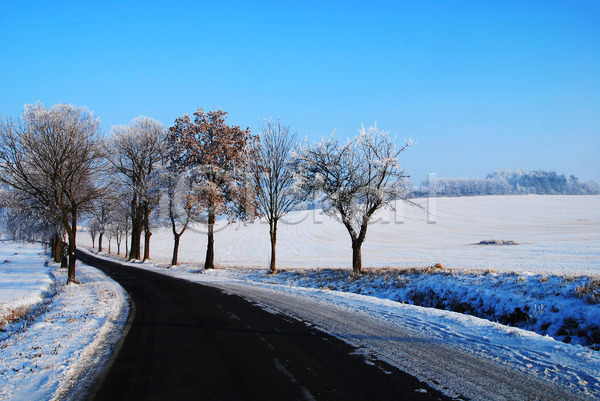 사람없음 JPG 포토 해외이미지 겨울 나무 내추럴 냉동 눈내림 도로 루트 방법 배너 서리 숲 야외 얼음 자연 크리스마스 파란색 풍경(경치) 하늘 해외202004 흰색