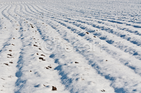 사람없음 JPG 포토 해외이미지 가로 겨울 농장 밭 선 야외 컬러풀 패턴 해외202004 흰색