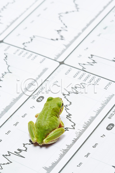 사람없음 JPG 근접촬영 아웃포커스 포토 개구리 경제 그래프 금융 동물 수치 스튜디오촬영 실내 양서류 육지동물 주가 주식 청개구리 초록색 컬러 통계 한마리