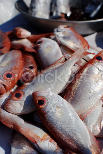 신선 사람없음 JPG 포토 해외이미지 낚시 분홍색 빨간색 시장 아시아 어류 해산물 해외202004