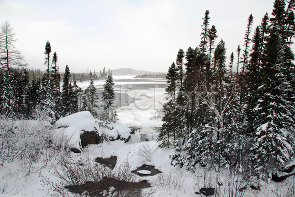추위 사람없음 JPG 포토 해외이미지 강 개울 겨울 계절 나무 날씨 냉동 눈내림 물 북쪽 상록수 서리 숲 얼음 자연 캐나다 파란색 풍경(경치) 하늘 해외202004 흰색