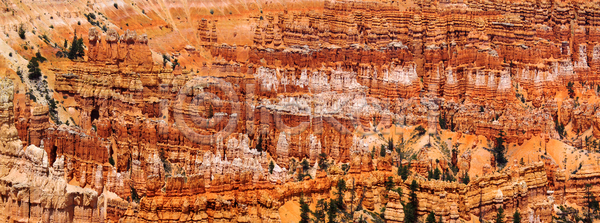 따뜻함 뜨거움 사람없음 JPG 포토 해외이미지 골짜기 공원 나무 내추럴 모래 미국 방문 빛 뿌리 사막 야외 여행 여행객 자연 전국 태양 파노라마 풍경 해외202004 해외포토