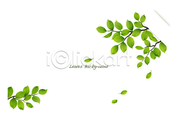 사람없음 AI(파일형식) 일러스트 나무 나뭇가지 나뭇잎 나뭇잎배경 배너 백그라운드 식물 안내 알림 잎 자연 초록색 컬러 틀 풀(식물) 프레임