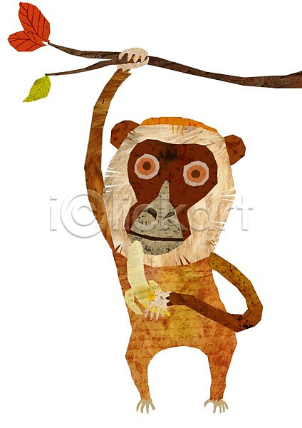 사람없음 PSD 일러스트 나무 나뭇가지 동물 동물캐릭터 들기 바나나 식물 애니멀프린트 원숭이 원숭이캐릭터 척추동물 캐릭터 트로피컬아트 포유류 한마리