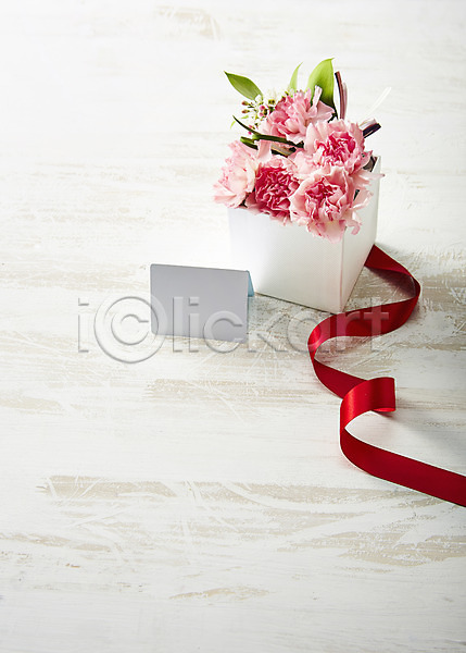 사람없음 JPG 포토 꽃 꽃백그라운드 끈 리본 백그라운드 분홍색 스튜디오촬영 식물 실내 종이 카네이션 카드(감사) 컬러 화분
