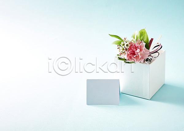 사람없음 JPG 포토 꽃 꽃백그라운드 백그라운드 분홍색 스튜디오촬영 식물 실내 종이 카네이션 카드(감사) 컬러 화분