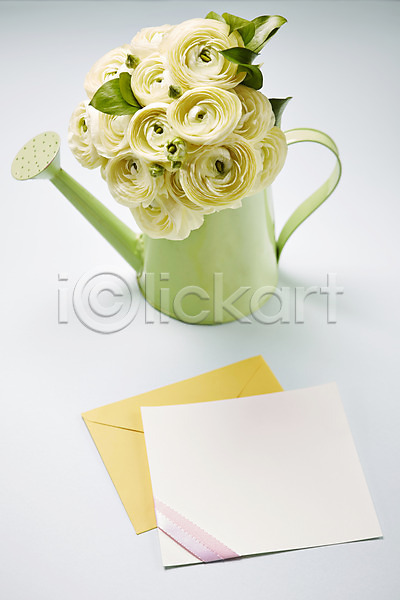 사람없음 JPG 포토 꽃 꽃백그라운드 라넌큘러스 물뿌리개 백그라운드 스튜디오촬영 식물 실내 종이 카드(감사) 컬러 편지 흰색