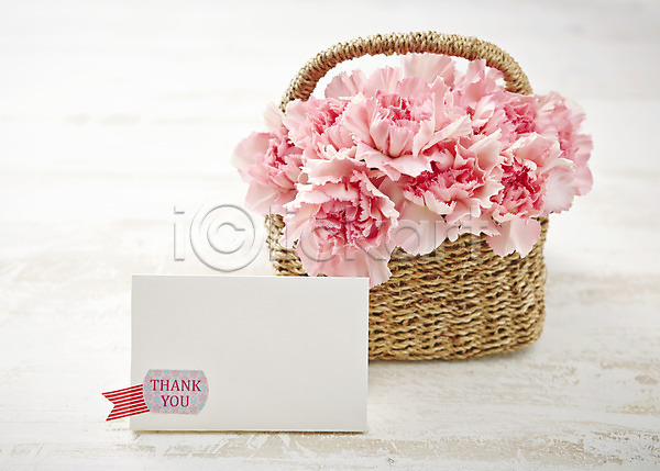사람없음 JPG 포토 꽃 꽃바구니 꽃백그라운드 바구니 백그라운드 분홍색 선물 스튜디오촬영 식물 실내 종이 카네이션 카드(감사) 컬러 편지