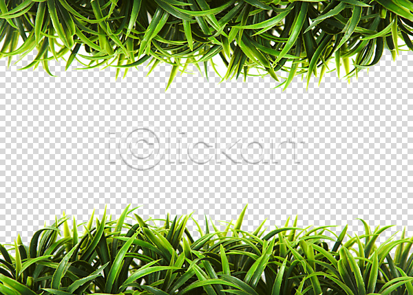사람없음 PNG 편집이미지 백그라운드 식물 식물백그라운드 잔디 초록색 초원(자연) 컬러 편집 편집소스 풀(식물) 프레임