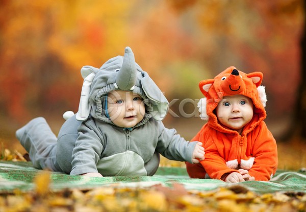 남자 남자아기만 두명 서양인 아기 JPG 아웃포커스 포토 해외이미지 가을(계절) 낙엽 동물옷 야외 엎드리기 여우 잠옷 잡기 전신 주간 코끼리 형제
