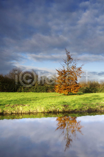 사람없음 JPG 포토 해외이미지 가을(계절) 구름(자연) 나무 네덜란드 물 반사 시골 연못 자연 풍경(경치) 해외202004