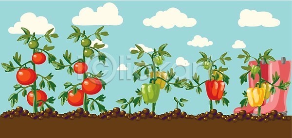 달콤 신선 EPS 일러스트 해외이미지 가로 가을(계절) 감자 건강 고립 과일 구름(자연) 농장 다이어트 닫기 당근 디자인 땅 맛 비건 뿌리 상추 샐러드 성분 세트 숙성 식물 야외 여름(계절) 원예 유기농 음식 잎 자연 저녁식사 점심식사 정원 채소 채식주의자 토마토 해외202004 해외일러스트 호박 후추 흙