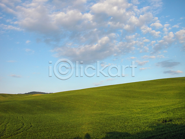 사람없음 JPG 포토 해외이미지 가족 꽃 나무 밭 백그라운드 시골 여름(계절) 이탈리아 자연 주택 지구 초록색 커플 토스카나 파란색 풍경(경치) 해외202004