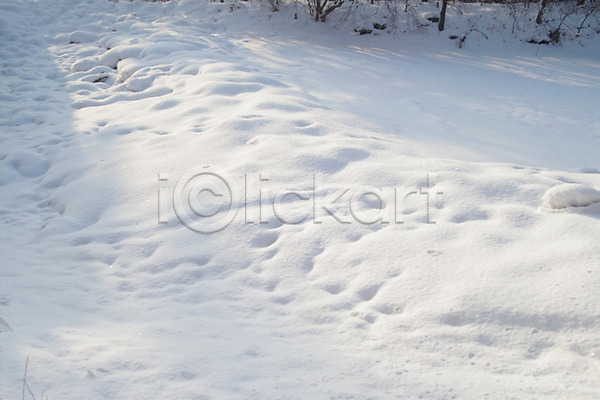 사람없음 JPG 포토 겨울 계절 눈(날씨) 백그라운드 사계절 설경 야외 자연 자연현상 주간 초원(자연) 풍경(경치)