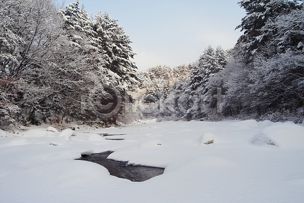 사람없음 JPG 포토 개울 겨울 계곡 계절 나무 눈(날씨) 백그라운드 사계절 산 설경 식물 야외 자연 자연현상 주간 풍경(경치)