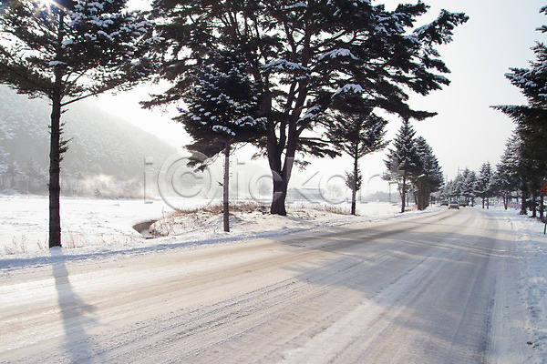 사람없음 JPG 포토 겨울 계절 길 나무 눈(날씨) 도로 백그라운드 사계절 설경 식물 야외 자연 자연현상 주간 풍경(경치)