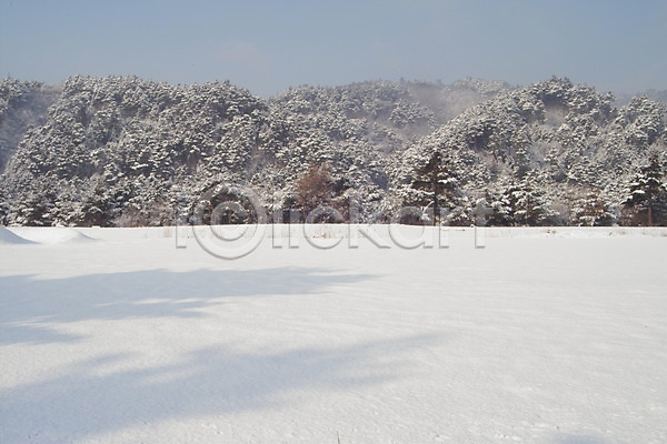 사람없음 JPG 포토 겨울 계절 나무 눈(날씨) 백그라운드 사계절 산 설경 설원 숲 식물 야외 자연 자연현상 주간 풍경(경치)