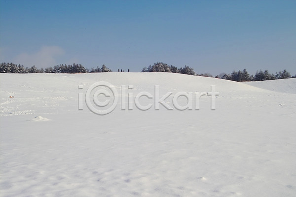 사람없음 JPG 포토 겨울 계절 나무 눈(날씨) 백그라운드 사계절 설경 설원 식물 야외 자연 자연현상 주간 초원(자연) 풍경(경치)