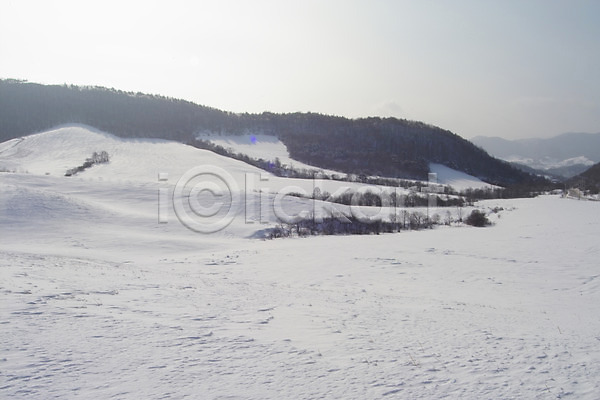 사람없음 JPG 포토 겨울 계절 나무 눈(날씨) 백그라운드 사계절 산 설경 설원 식물 야외 자연 자연현상 주간 초원(자연) 풍경(경치)