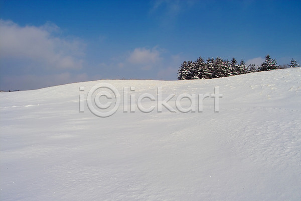 사람없음 JPG 포토 겨울 계절 나무 눈(날씨) 백그라운드 사계절 설경 설원 식물 야외 자연 자연현상 주간 초원(자연) 풍경(경치)