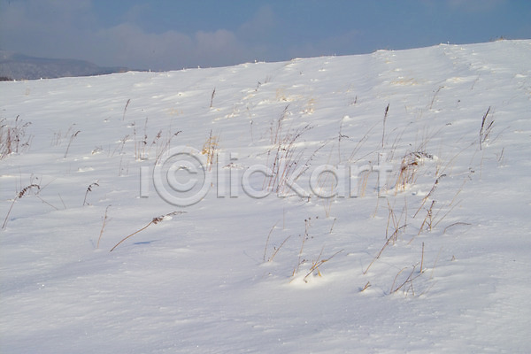 사람없음 JPG 포토 겨울 계절 눈(날씨) 백그라운드 사계절 설경 설원 야외 자연 자연현상 주간 초원(자연) 풍경(경치)
