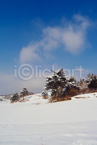 사람없음 JPG 포토 겨울 계절 구름(자연) 나무 눈(날씨) 백그라운드 사계절 산 설경 식물 야외 자연 자연현상 주간 풍경(경치) 하늘