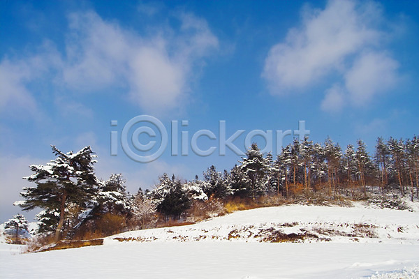 사람없음 JPG 포토 겨울 계절 구름(자연) 나무 눈(날씨) 백그라운드 사계절 산 설경 식물 야외 자연 자연현상 주간 풍경(경치) 하늘