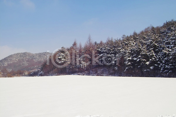 사람없음 JPG 포토 겨울 계절 나무 눈(날씨) 백그라운드 사계절 산 설경 식물 야외 자연 자연현상 주간 풍경(경치)