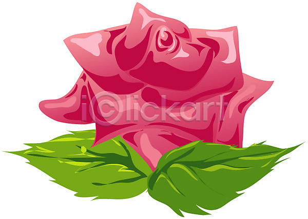 사람없음 EPS 글꼴아이콘 아이콘 글꼴 기호 꽃 문자 빨간색 식물 여름꽃 잎 자연 장미 컬러 클립아트 픽토그램