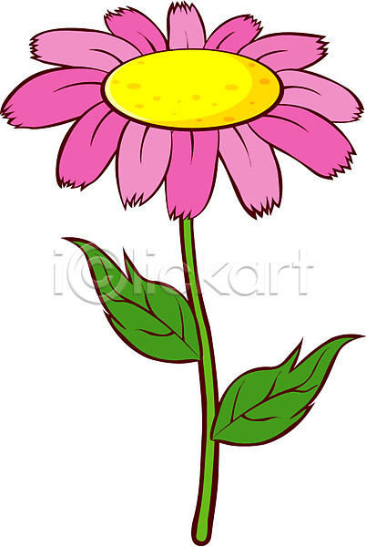 사람없음 EPS 아이콘 가을꽃 꽃 들꽃 분홍색 식물 자연 코스모스(꽃) 한송이
