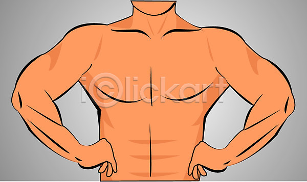 남자 남자만 남자한명만 사람 신체부위 한명 EPS 앞모습 일러스트 가슴 근육 누드 상반신 신체 클립아트 포즈