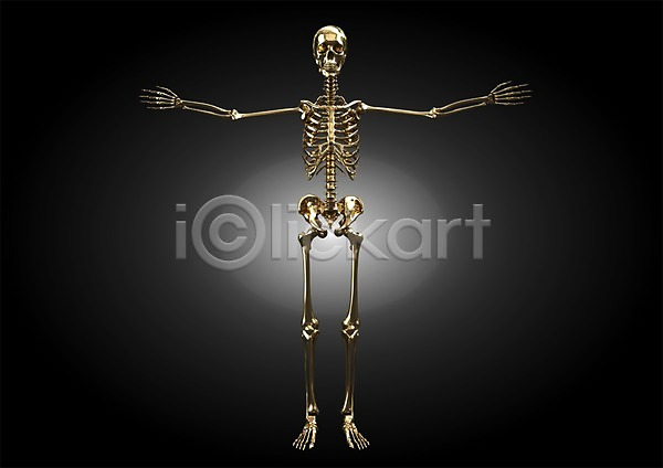 사람없음 3D PSD 편집이미지 3D소스 골격 관절 그래픽 금색 등뼈 백그라운드 뼈 신체 엉덩이 의학 인체모형 전신 치료 컴퓨터그래픽 편집소스 해골 허리