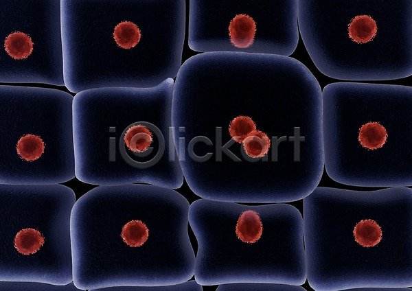 사람없음 3D PSD 입체 편집이미지 3D소스 그래픽 라이프 백그라운드 생명 생명공학 세포 세포분열 신체 의학 조직 치료 컴퓨터그래픽 편집소스 핵 현미경