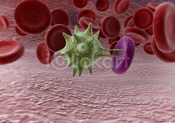 사람없음 3D PSD 입체 편집이미지 3D소스 그래픽 라이프 박테리아 백그라운드 생명 생명공학 세포 신체 의학 조직 치료 컴퓨터그래픽 편집소스 피 현미경 혈관 혈액