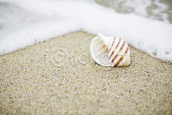 사람없음 JPG 아웃포커스 포토 계절 모래 모래사장 바다 백그라운드 소라 야외 여름(계절) 여름풍경 주간 파도 풍경(경치) 해변