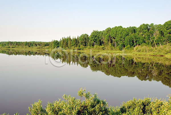 사람없음 JPG 포토 해외이미지 나무 물 반사 숲 야외 여름(계절) 파란색 풍경(경치) 하늘 해외202004 호수