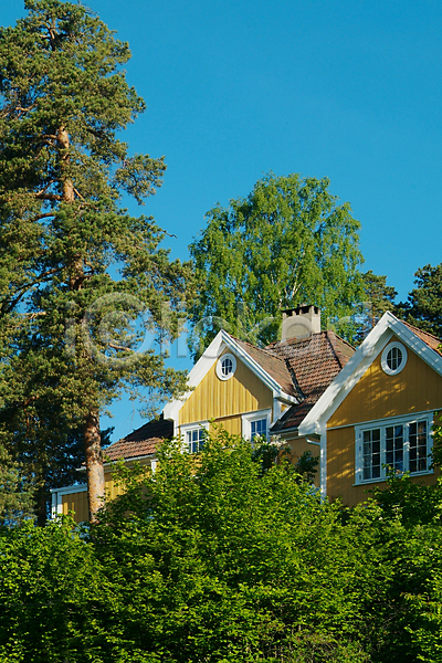 고급 클래식 사람없음 JPG 포토 해외이미지 건물 건축양식 노란색 빌라 숨기 숲 스타일 주택 초록색 파란색 하늘 해외202004