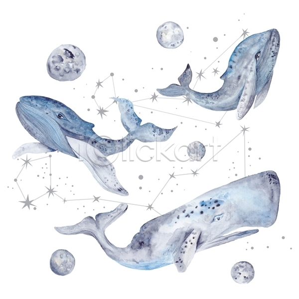 사람없음 JPG 포토 해외이미지 고래 고래자리 달 동물 별 수채화(물감) 해외202004 행성