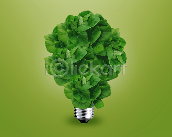 낭비 미래 보호 복지 아이디어 혁명 사람없음 JPG 포토 해외이미지 글로벌 나무 내추럴 램프 발명 빛 생태학 심볼 에너지 에코 유지 자원 재활용 전구 지구 초록색 컨셉 태양 해결 해외202004 햇빛 행성 환경 힘