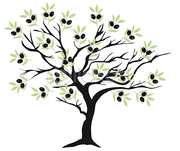 사람없음 EPS 일러스트 해외이미지 나무 올리브 올리브나무 추상 해외202004