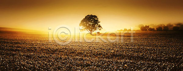 분위기 사람없음 JPG 포토 해외이미지 계곡 구름 나무 농업 농장 밀 밭 벽지 수평선 시골 안개 야외 여행 오렌지 일몰 일출 자연 파노라마 풍경 하늘 해외202004 해외포토 호주 환경