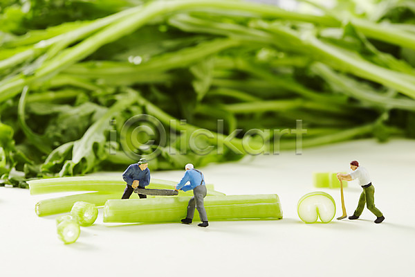 사람없음 JPG 아웃포커스 포토 모형 미니어처 스튜디오촬영 시금치 식재료 실내 오브젝트 인형 장난감 채소 초록색 컬러 컬러푸드 톱 파 피규어
