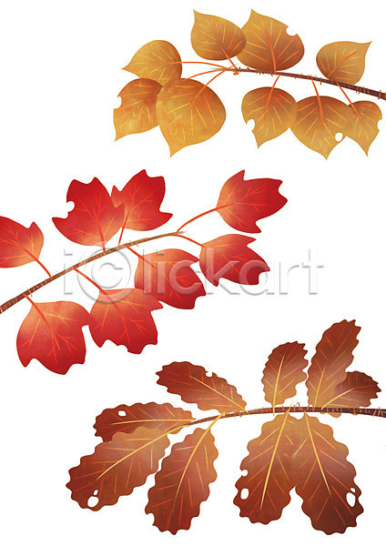 사람없음 PSD 일러스트 가을(계절) 나뭇가지 나뭇잎 단풍 빨간색 잎 컬러