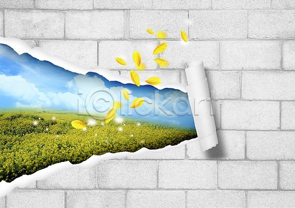 사람없음 PSD 편집이미지 구름(자연) 꽃 꽃밭 꽃잎 벽돌 식물 자연 종이 찢어짐 초원(자연) 하늘