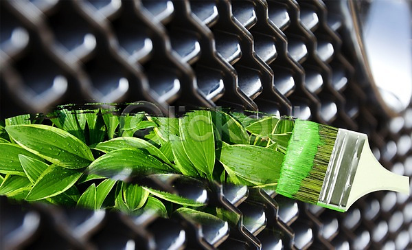 사람없음 PSD 편집이미지 백그라운드 붓 식물 초록색 컬러 터치 페인트 편집 풀(식물) 환경