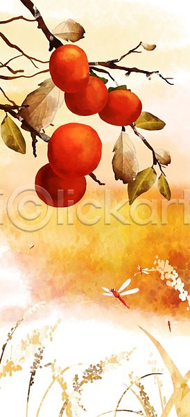 사람없음 PSD 일러스트 가을(계절) 가을풍경 감 감나무 계절 과일 나뭇가지 열매 자연 풍경(경치)
