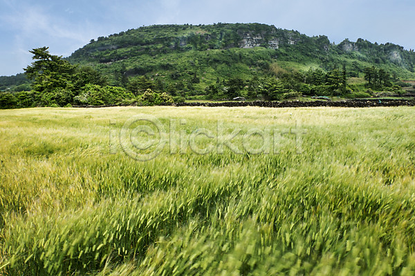 사람없음 JPG 포토 두산봉 식물 야외 자연 잔디 제주도 주간 풍경(경치) 한국